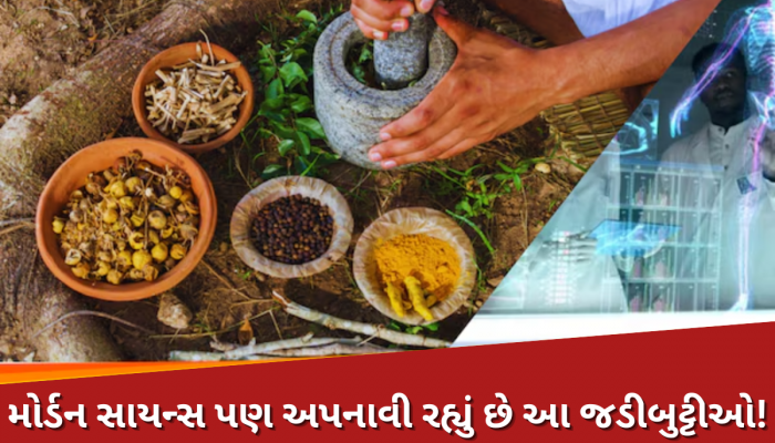 આયુર્વેદે 1000 વર્ષ પહેલા શોધી લીધી હતી કોલેસ્ટ્રોલ-સંધિવાની દવા, ઇનકાર નથી કરી શકતું સાયન્સ
