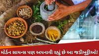 આયુર્વેદે 1000 વર્ષ પહેલા શોધી લીધી હતી કોલેસ્ટ્રોલની દવા,ઇનકાર નથી કરી શકતું સાયન્સ
