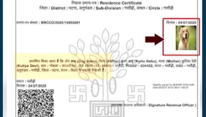 લો બોલો! સરકારી તંત્રએ કૂતરાને ફાળવી દીધું આવાસ યોજનાનું ઘર, નઘરોળ તંત્ર સહિત આખા રાજ્યની ફજેતી