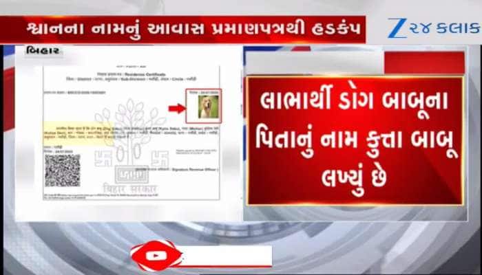 આવી બેદરકારી? સરકારી તંત્રએ રખડતાં કૂતરાને લાભાર્થી ગણાવી ગરીબોનું ઘર ફાળવી દીધુ