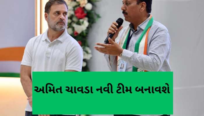 નવો ઘોડો નવો દાવ : કોંગ્રેસમાં પરિવર્તન લાવવા અમિત ચાવડા બનાવશે પોતાની સુપર ટીમ