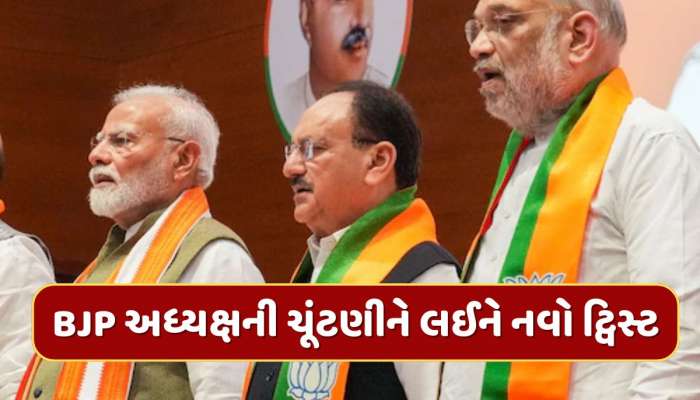 ભાજપ અધ્યક્ષની ચૂંટણીને લઈને આવ્યો નવો વળાંક, જેપી નડ્ડા પછી કોને મળશે જવાબદારી ?