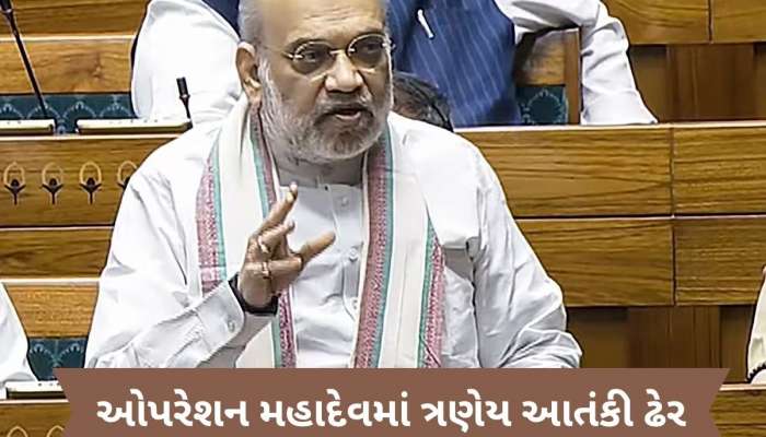  પહેલગામ હુમલાના ત્રણેય આતંકી ઓપરેશન મહાદેવમાં ઠાર, અમિત શાહે લોકસભામાં આપી જાણકારી