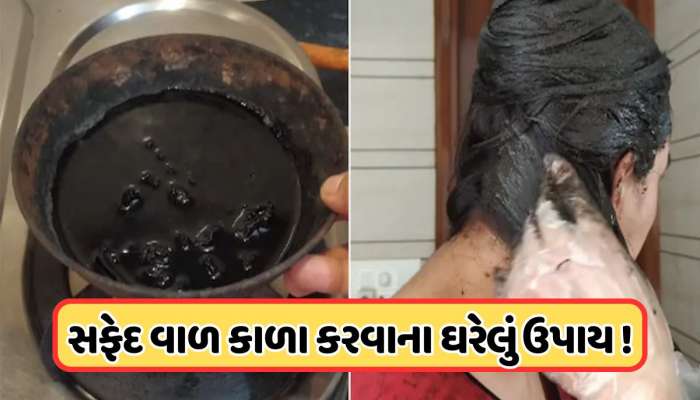 ડાય કર્યા વિના મૂળમાંથી કાળા થઈ જશે તમારા વાળ, ફક્ત તમારા રસોડામાં રહેલી આ વસ્તુથી બનાવો નેચરલી હેયર કલર