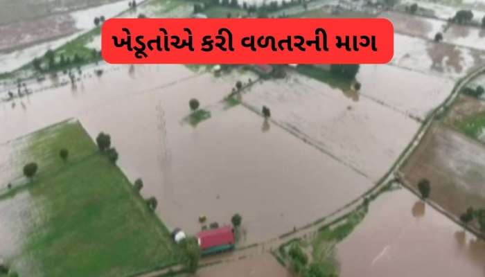 ભારે વરસાદથી ખેતરો બન્યા જળબંબાકાર, મગફળી, બાજરી અને કઠોળનો પાક થયો બરબાદ
