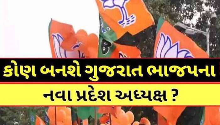 ગુજરાતમાં નવા ભાજપ અધ્યક્ષને લઈને સૌથી મોટા સમાચાર: જાણો ક્યારે મળશે નવો કેપ્ટન!