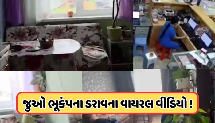 એવો ભૂકંપ આવ્યો જાણે કોઈ ઘર હલાવી રહ્યું હોય, એક ક્ષણમાં કેવી તબાહી મચી ગઈ, જુઓ Viral Video