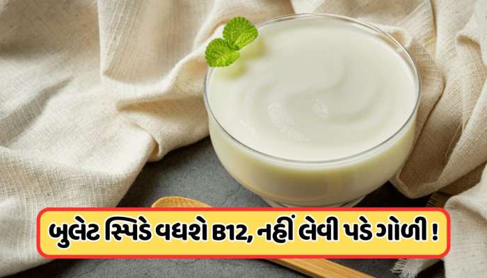 દહીંમાં આ 2 વસ્તુઓ મિક્સ કરીને ખાવાથી ડબલ સ્પિડથી વધશે વિટામિન B12, નહીં પડે દવાની જરૂર