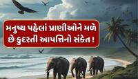 સુનામી કે ભૂકંપ પહેલા પ્રાણીઓ બેચેન કેમ થઈ જાય છે ? રહસ્ય જાણીને ચોંકી જશો