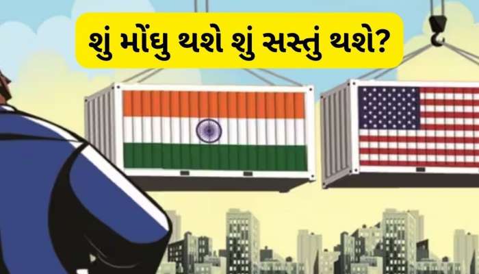25% ટેરિફનો માર! ટ્રમ્પના આ નિર્ણયથી ભારતમાં કઈ વસ્તુ મોંઘી અને કઈ સસ્તી થશે? જાણો દરેક વિગત