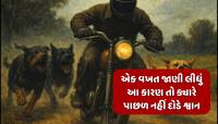 વાહનોની પાછળ કેમ દોડે છે શ્વાન? જાણો તેની પાછળનું શું છે વૈજ્ઞાનિક કારણ