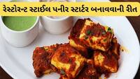 પનીર ટીક્કા સિવાય પનીરમાંથી ફટાફટ બની જતાં 5 અફલાતૂન સ્ટાર્ટર, ખાઈને મહેમાન ખુશ થશે