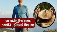 પુરુષોની શક્તિને 2 ગણી વધારી છે આ જડીબુટ્ટી! 60 વર્ષની ઉંમરે પણ રહેશે 30 જેવી ફુર્તી