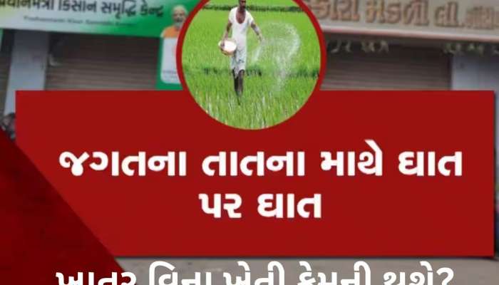 ‘કૃષિ મંત્રી ખોટા નિવેદનો કરે છે, અહીં આવીને જુએ તો ખબર પડે કે ખાતર માટે ખેડૂતો કેટલા હેરાન થઈ રહ્યા છે...!’