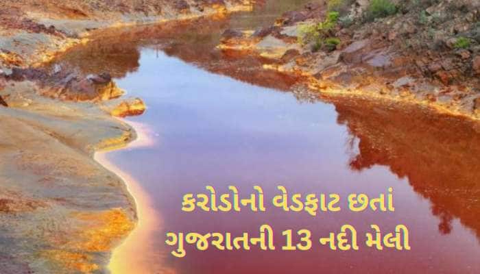 ગુજરાતની આ 13 નદીઓના પાણીને હાથ પણ ન અડાડતા, મેલી નદીઓનું લિસ્ટ આવ્યું 