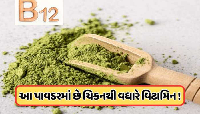વિટામિન B12નો ભંડાર છે આ લીલું પાંદડું, ઈંડા અને ચિકનથી પણ વધારે છે પાવરફુલ !