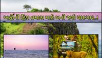 ફરવાના શોખીન લોકો માટે ગુજરાતના આ સ્થળો જન્નત! સંસ્કૃતિ અને ઇતિહાસની કરાવે છે ઝાંખી