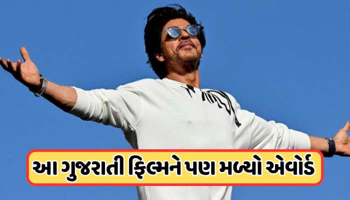 શાહરૂખ ખાન જ નહીં, આ અભિનેતાને પણ મળ્યો શ્રેષ્ઠ અભિનેતાનો રાષ્ટ્રીય પુરસ્કાર, આ હિરોઈનને પણ મારી બાજી