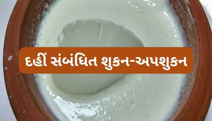 Shakun Apshakun: કેટલીક પરિસ્થિતિમાં દહીં ખાવું અશુભ, જાણો દહીં સંબંધિત મહત્વના શુકન-અપશુકન વિશે