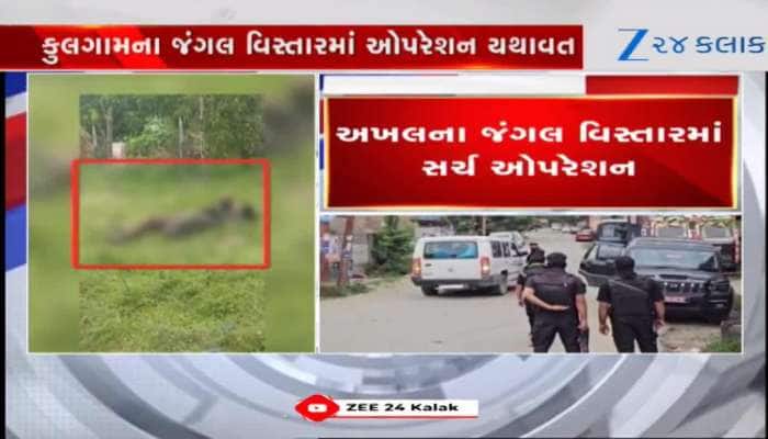 VIDEO:જમ્મુ કાશ્મીરમાં 'અખલ' સર્ચ ઓપરેશન- વર્ષનું મહા ઓપરેશન! 3 દિવસમાં 3 આતંકીઓ ઠાર