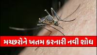 લોકોના લોહીને મચ્છરોં માટે ઝેર બનાવી દેશે આ દવા, કરડતા જ થઈ જશે મોત! જાણો 