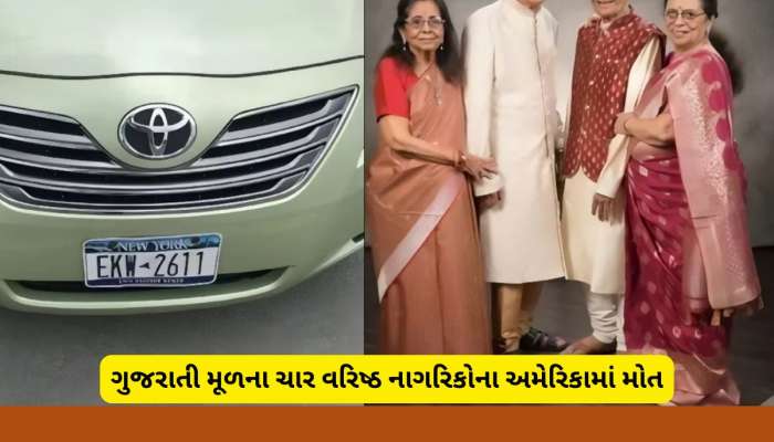 અમેરિકામાં અકસ્માતમાં ચાર ગુજરાતીઓના મોત, પાંચ દિવસથી ગુમ વૃદ્ધોની આખરે ભાળ મળી 