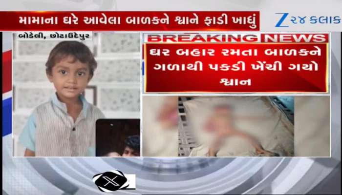 stray dog took the life of a child in Bodeli, Chhota Udepur watch video