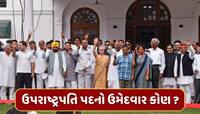 ઉપરાષ્ટ્રપતિ ચૂંટણીમાં વિપક્ષનો ઉમેદવાર કોણ હશે ? સામે છે આ મુશ્કેલ પડકાર