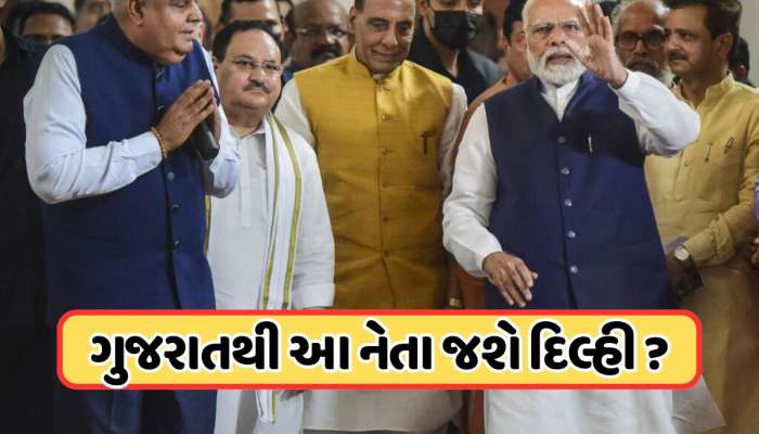 જગદીપ ધનખડ પછી કોણ બનશે ઉપરાષ્ટ્રપતિ? ગુજરાતથી સામે આવ્યું નવું નામ! જાણો