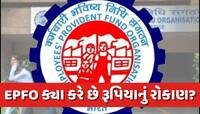 તમારા PFના રૂપિયા માત્ર જમા જ નથી થતા, EPFO કેવી રીતે અને ક્યા કરે છે રોકાણ?