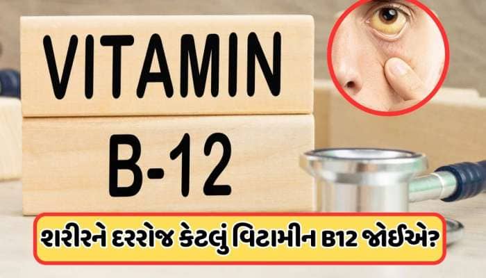B12ની કમી પર શરીરમાં કયા લક્ષણો દેખાય છે? તમારા માટે વિટામિન B12 કેટલું જરૂરી ?