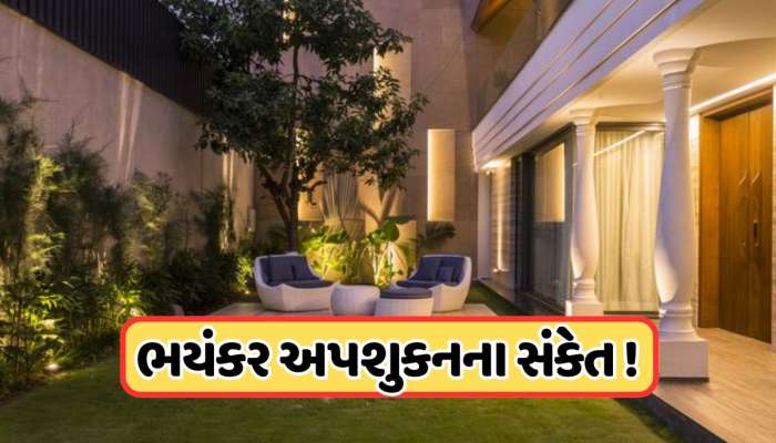 ઘરમાં આ પક્ષીનું દેખાવું ખૂબ જ અશુભ, બરબાદ થઈ જાય છે જીવન, ખરાબ સમય નથી છોડતો તમારો પીછો!