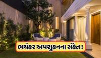ઘરમાં આ પક્ષીનું દેખાવું ખૂબ જ અશુભ, બરબાદ થઈ જાય છે જીવન, ખરાબ સમય નથી છોડતો પીછો! 