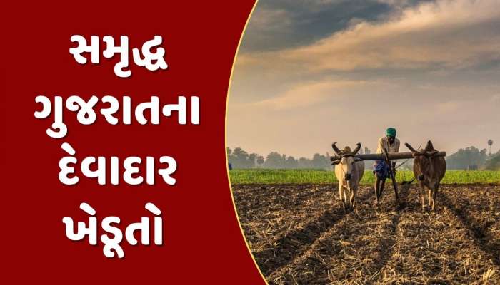 કેવી રીતે થશે આવક બમણી ? ગુજરાતના દરેક ખેડૂતના માથે છે રૂપિયા 56 હજારનું દેવું