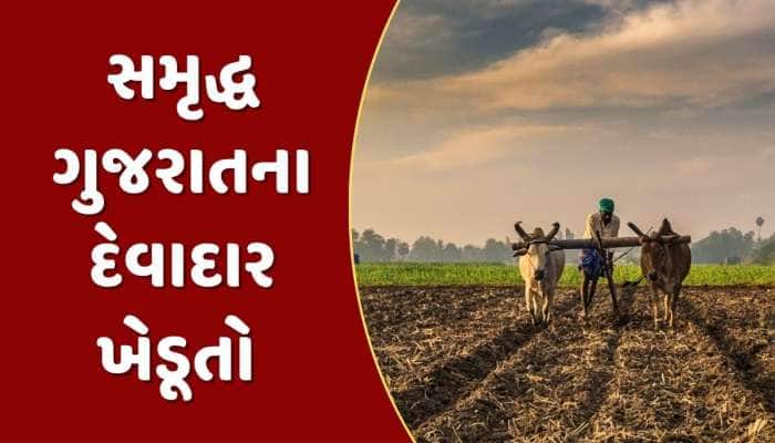 કેવી રીતે થશે આવક બમણી ? ગુજરાતના દરેક ખેડૂતના માથે છે રૂપિયા 56 હજારનું દેવું