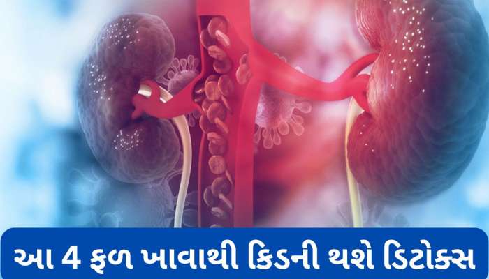 Kidney: ગંદી કિડનીને સાફ કરવામાં મદદ કરશે આ 4 ફળ, રોજ કોઈપણ એક ખાવું