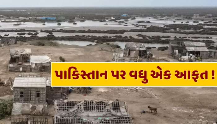 પાકિસ્તાન પર વધુ એક આફત, સિંધુ નદીનું 80% પાણી ખતમ...40 ગામ ઉજ્જડ, 12 લાખ લોકોનું સ્થળાંતર