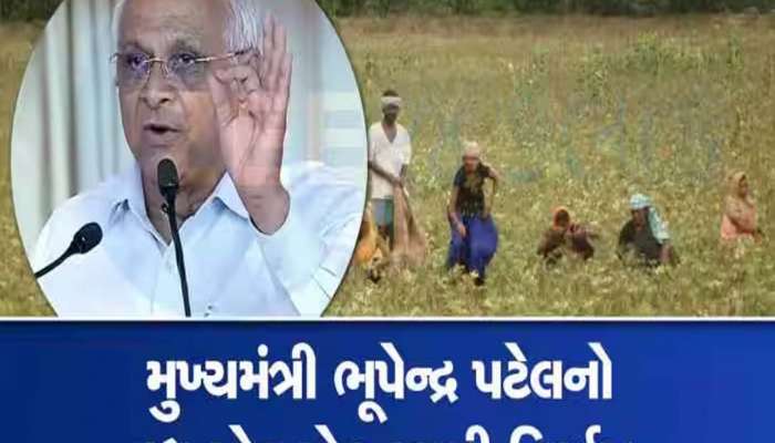  ગુજરાતના ખેડૂતો માટે ભૂપેન્દ્ર પટેલનો મહત્વપૂર્ણ નિર્ણય; કેબિનેટ બેઠકમાં અપાઈ સૂચના