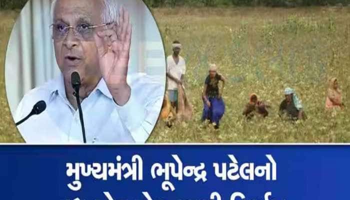 ગુજરાતના ખેડૂતો માટે ભૂપેન્દ્ર પટેલનો મહત્વપૂર્ણ નિર્ણય; કેબિનેટ બેઠકમાં અપાઈ સૂચના