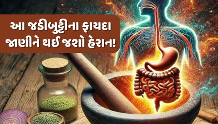 સ્વાદ ન જુઓ.. સારા સ્વાસ્થ્ય માટે દરરોજ ખાવો આ જડીબુટ્ટી,આસપાસ પણ નહીં ફરકે આ બીમારી