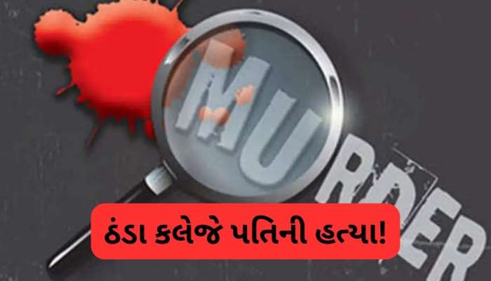 પત્નીએ કાનમાં ઝેર આપી પતિની હત્યા કરી, YouTube વીડિયો જોઈ બનાવ્યો પ્લાન