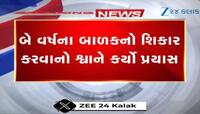 આ જુઓ ખૂંખાર કૂતરાએ કેવી રીતે નાના બાળક પર કર્યો હુમલો