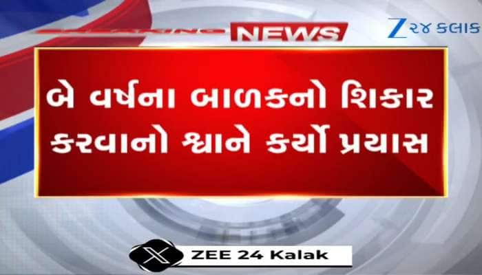 Video: તમારા બાળકને સાચવો...આ જુઓ ખૂંખાર કૂતરાએ કેવી રીતે નાના બાળક પર કર્યો હુમલો