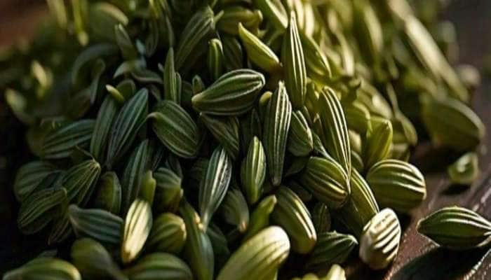 Fennel: સ્વાદ સાથે સારું સ્વાસ્થ્ય મળશે, એસિડિટીથી લઈ કબજિયાત સુધીની સમસ્યાથી રાહત આપશે આ મસાલો