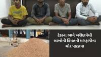 ચોકીદાર જ ચોર નીકળ્યો, 31,64,956 લાખ રૂપિયાની 1212 બોરીઓ મગફળી ચોરીનો ભેદ ઉકેલાયો 