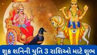 શુક્ર 50 વર્ષ પછી મિત્ર શનિના ઘરમાં જશે, 23 ઓગસ્ટથી સોનાની જેમ ચમકશે આ રાશિનું ભાગ્ય