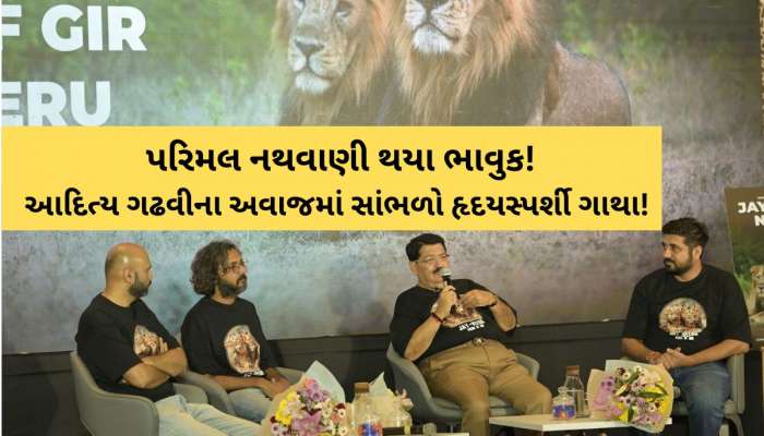 ગર્જનાથી ગાથા સુધી સાંભળો જય-વીરુની દંતકથા! ગીરના બે સિંહો મર્યા નથી…અમર બની ગયા! 