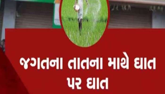 Fertilizer Shortage In Gujarat: ગુજરાતમાં ખાતરની અછત મુદ્દે સૌથી મોટા સમાચાર