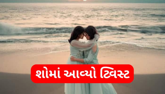 'બિગ બોસ'માં થઈ લેસ્બિયન કપલની એન્ટ્રી, આ રીતે થઈ હતી બન્નેની મુલાકાત