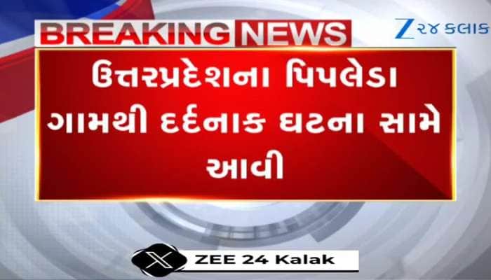 Watch Video: 14 વર્ષનું બાળક રમતું હતું અને પળ ભરમાં હતું ન હતું થઈ ગયું, ભયાનક ઘટના